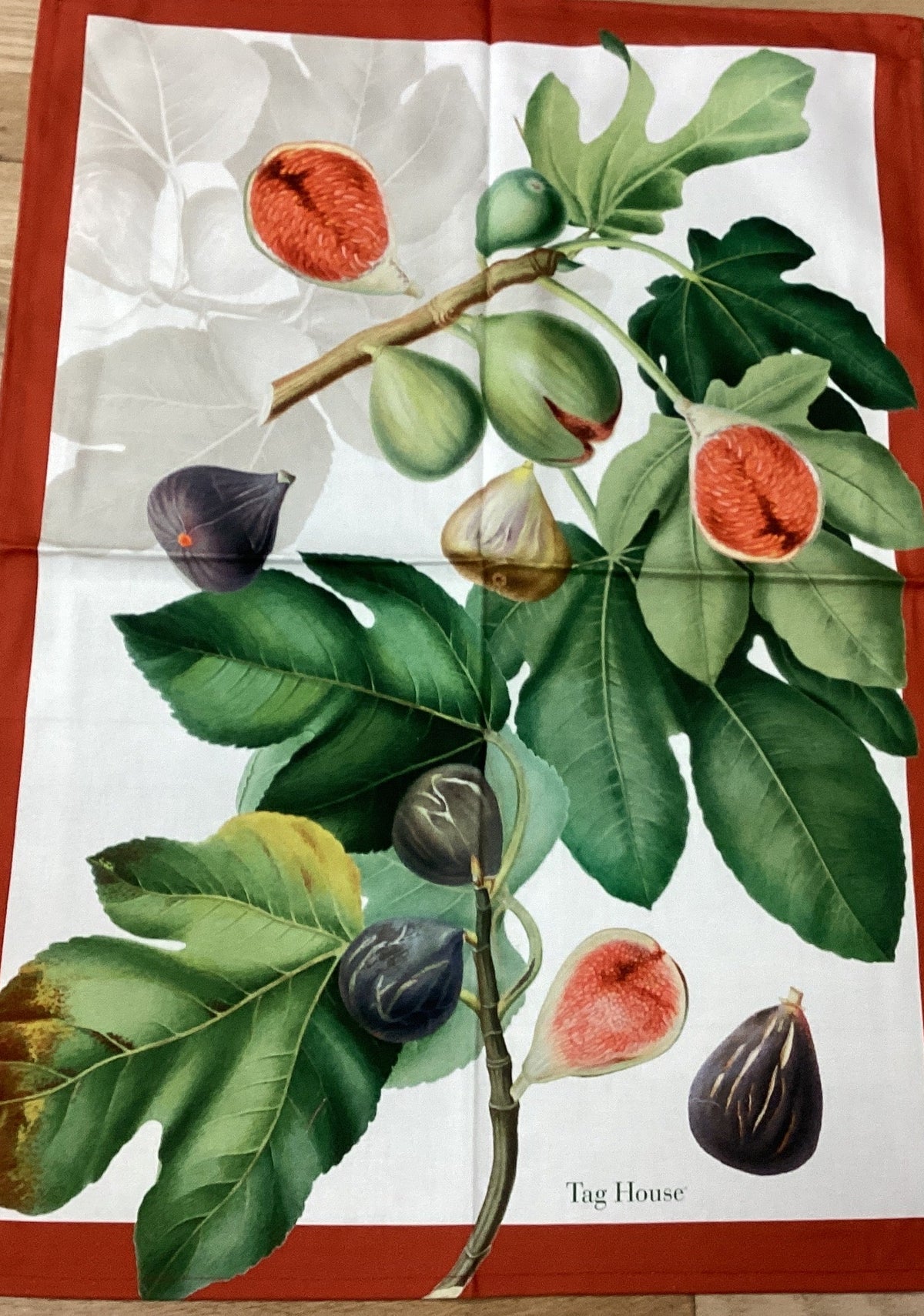 Canovaccio Artissima TAG HOUSE - Ficus
