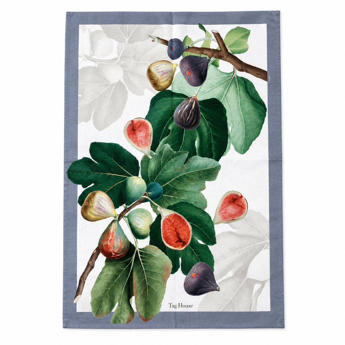Canovaccio Artissima TAG HOUSE - Ficus
