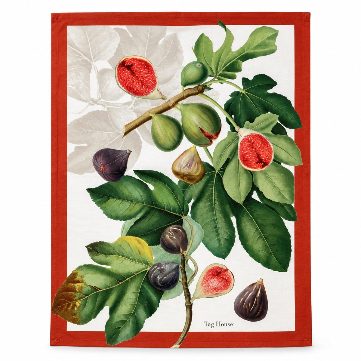 Canovaccio Artissima TAG HOUSE - Ficus