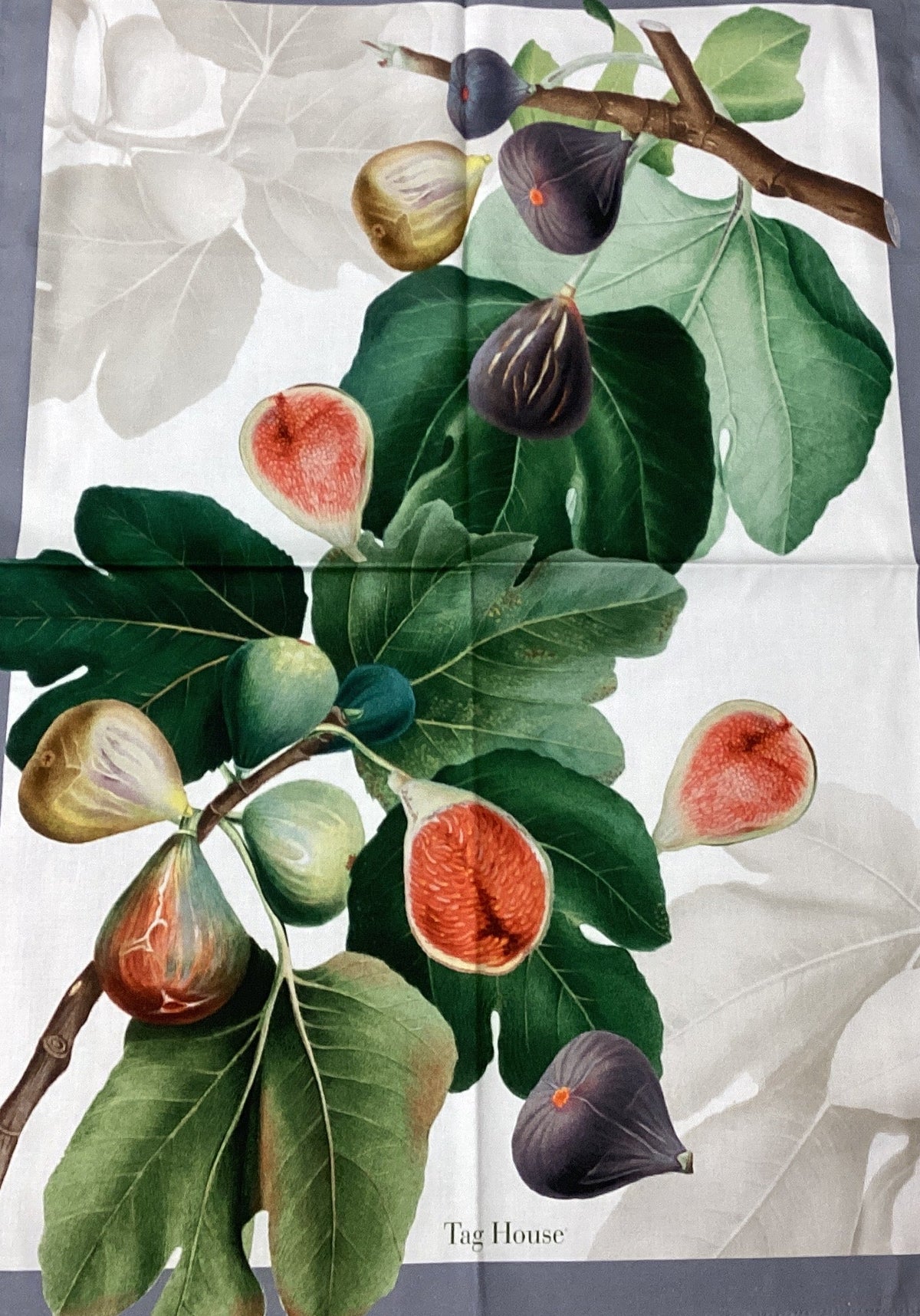 Canovaccio Artissima TAG HOUSE - Ficus