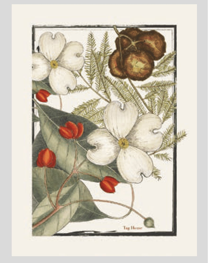 Strofinaccio in Cotone Panama Artissima TAG HOUSE - Juniper