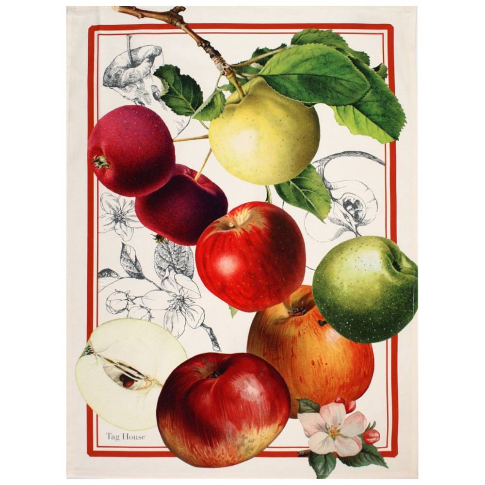 Canovaccio Artissima TAG HOUSE - Apple