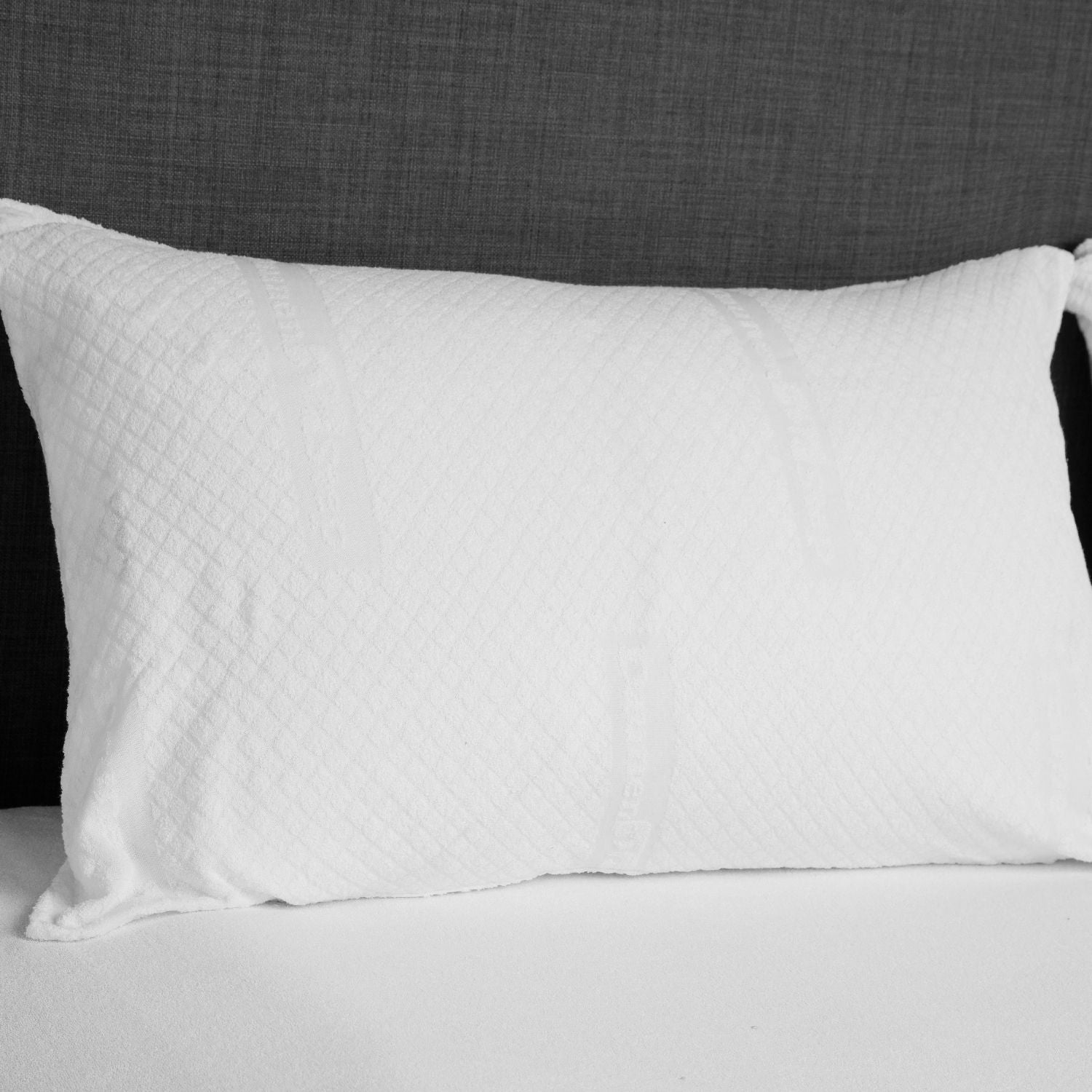 Pair of DAUNENSTEP Sponge Pillowcases - Care