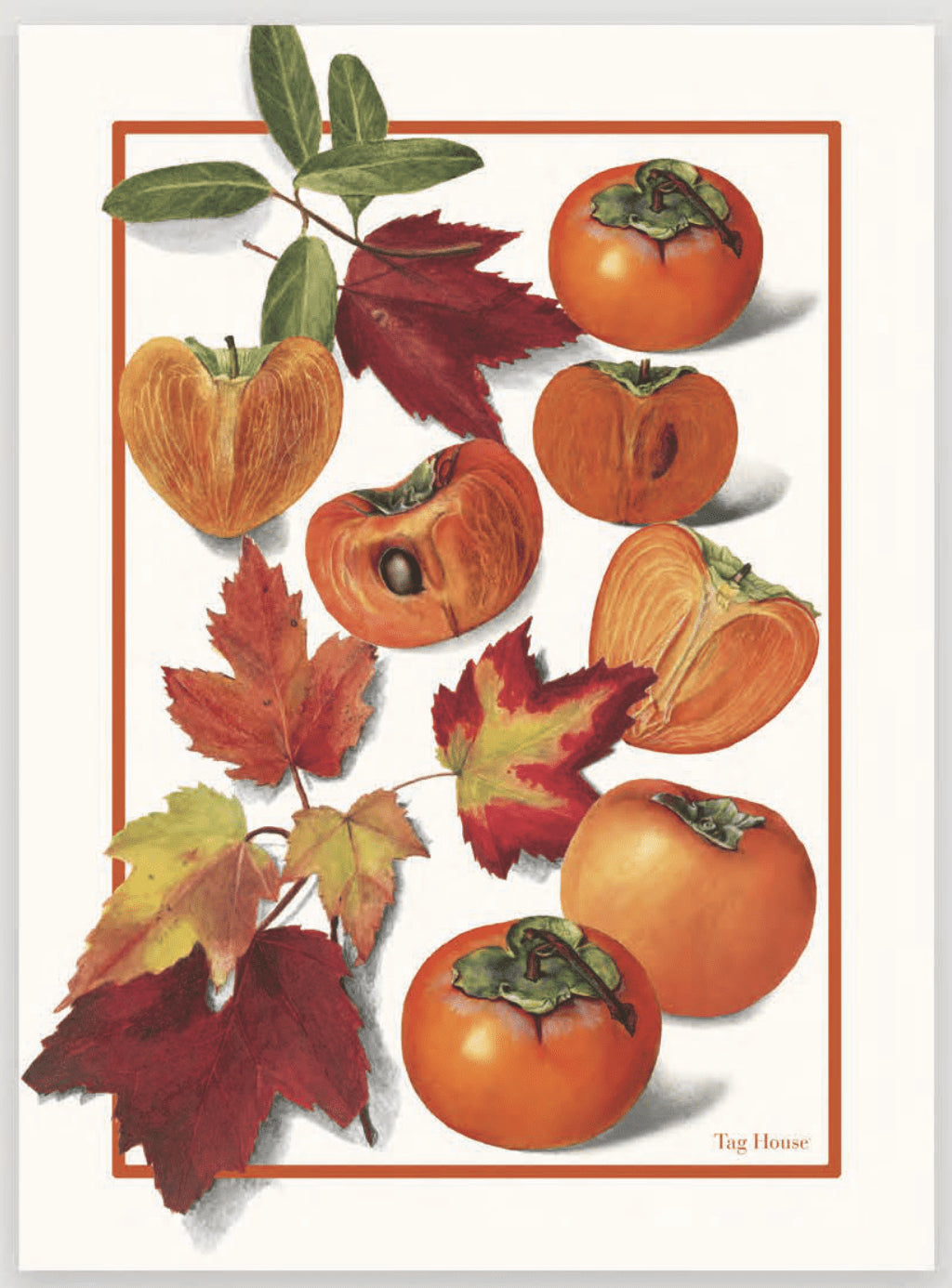 Strofinaccio in Cotone Panama Artissima TAG HOUSE - Kaki