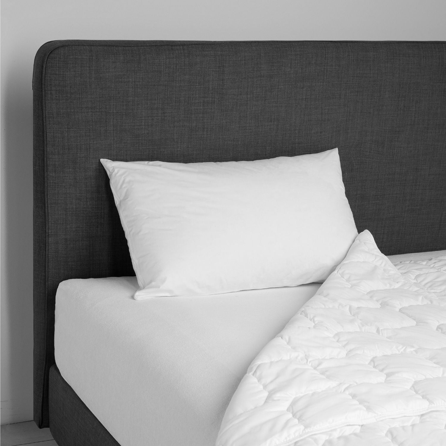 DAUNENSTEP Feather Pillow - Pearl Feather 