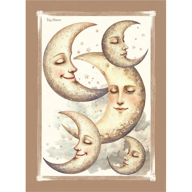 Strofinaccio in Cotone Panama Artissima TAG HOUSE - Sole Luna