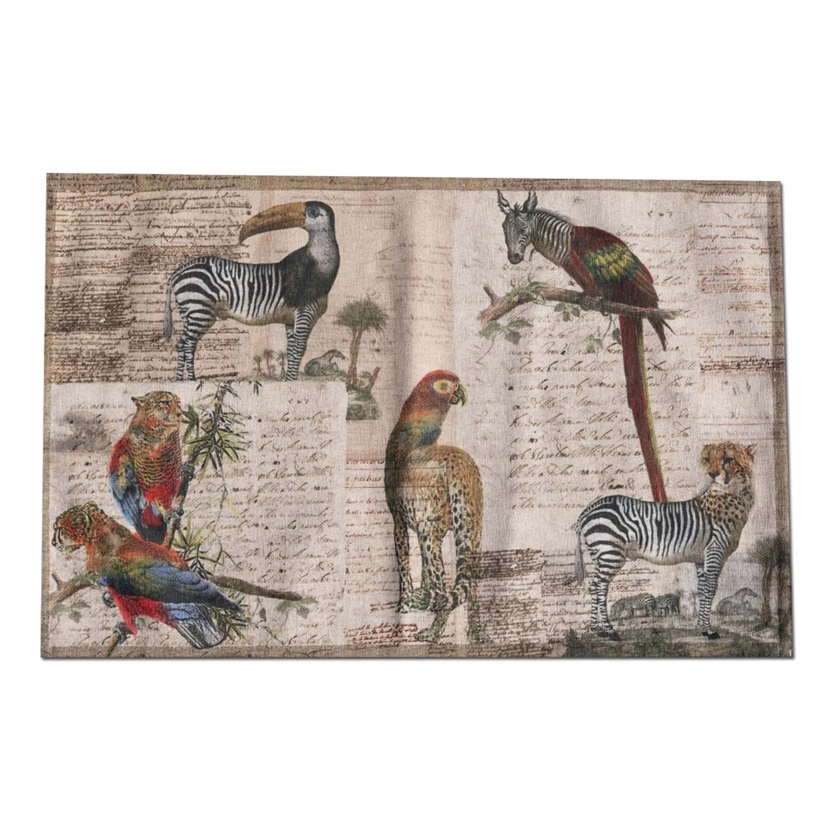 Tappeto in Poliestere Riciclato TESSITURA TOSCANA - TipTap Darwin