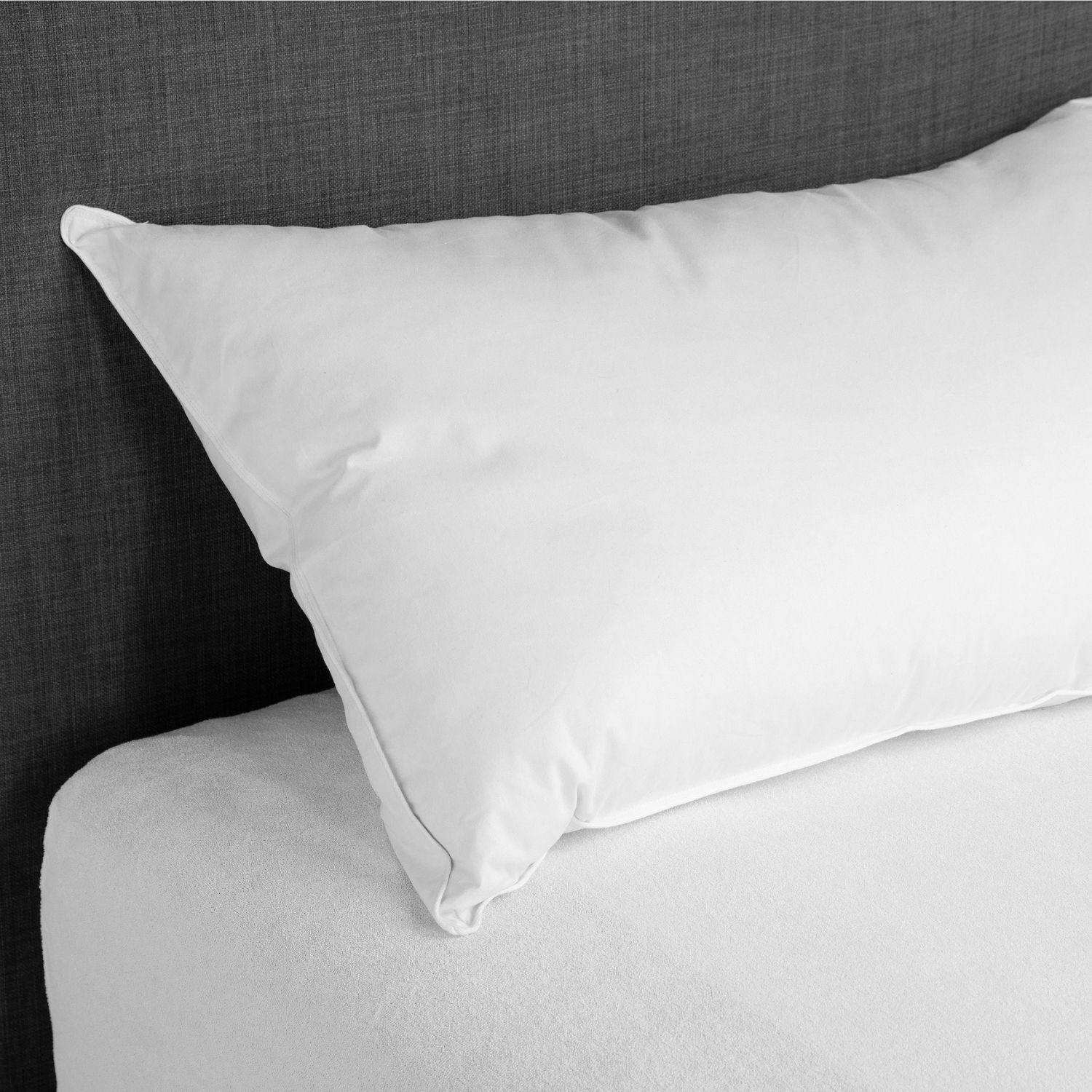 DAUNENSTEP Synthetic Fiber Pillow - Airella 