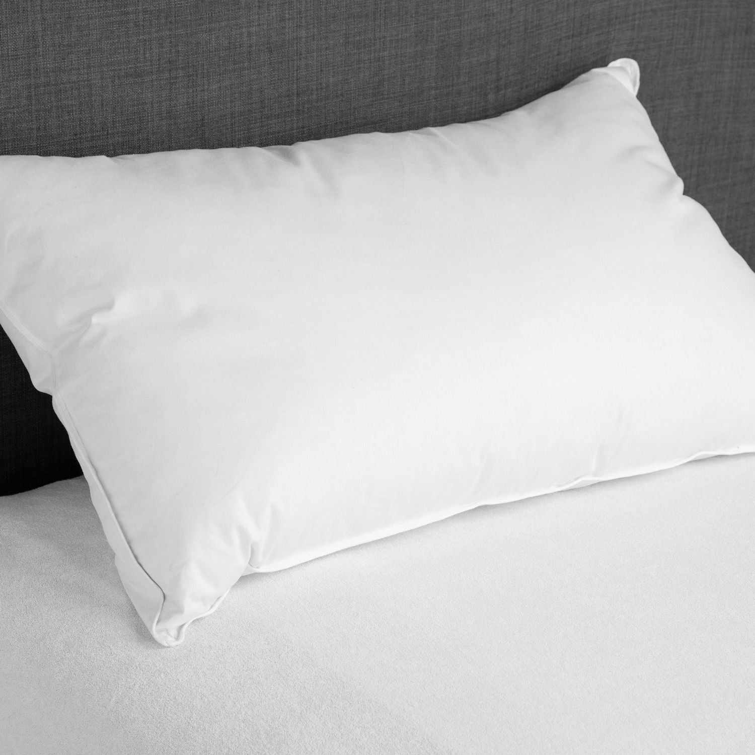 DAUNENSTEP Down Pillow - Silver 