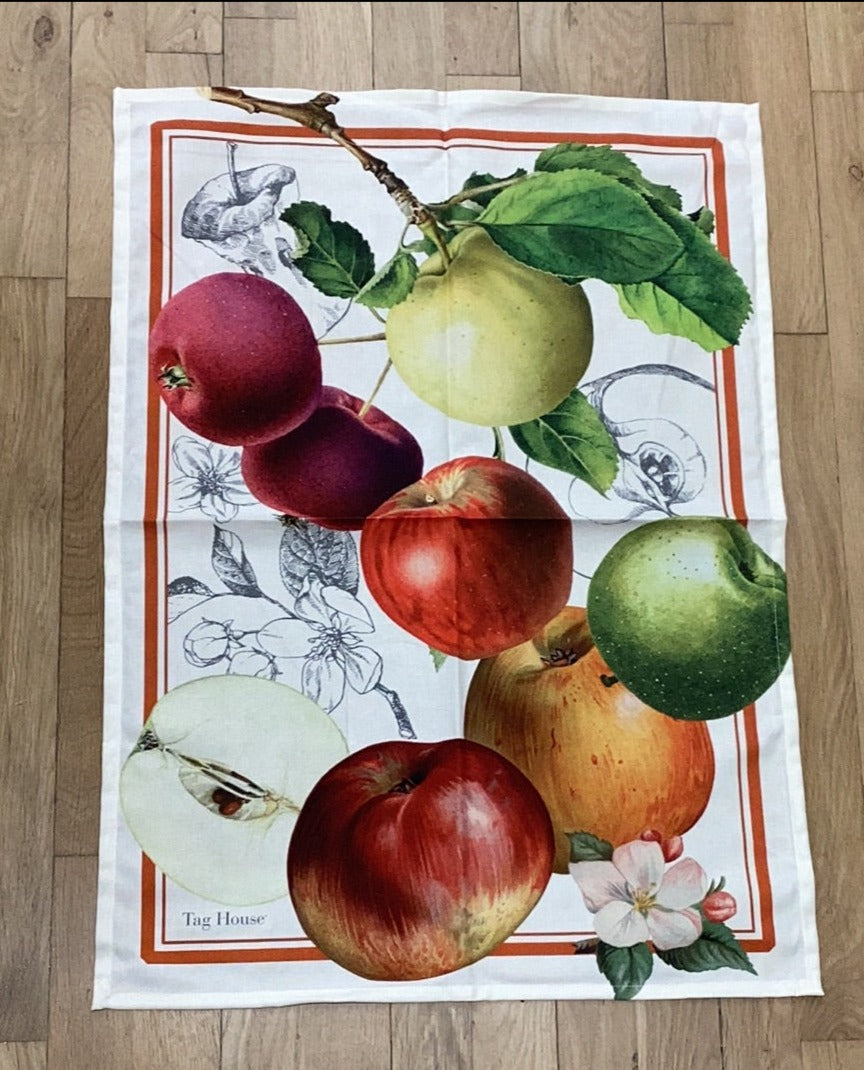 Canovaccio Artissima TAG HOUSE - Apple