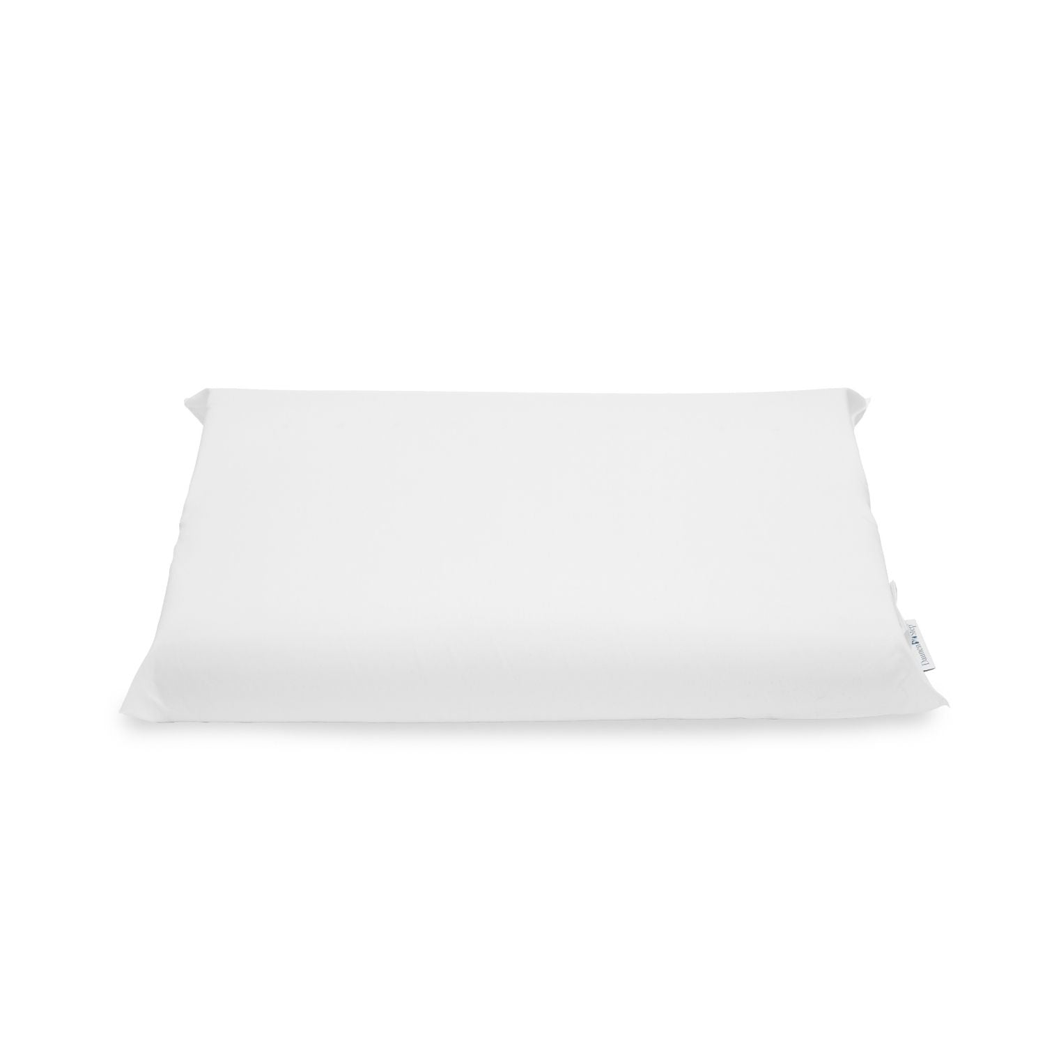 DAUNENSTEP Anatomical Pillow - Anatomical Memo 