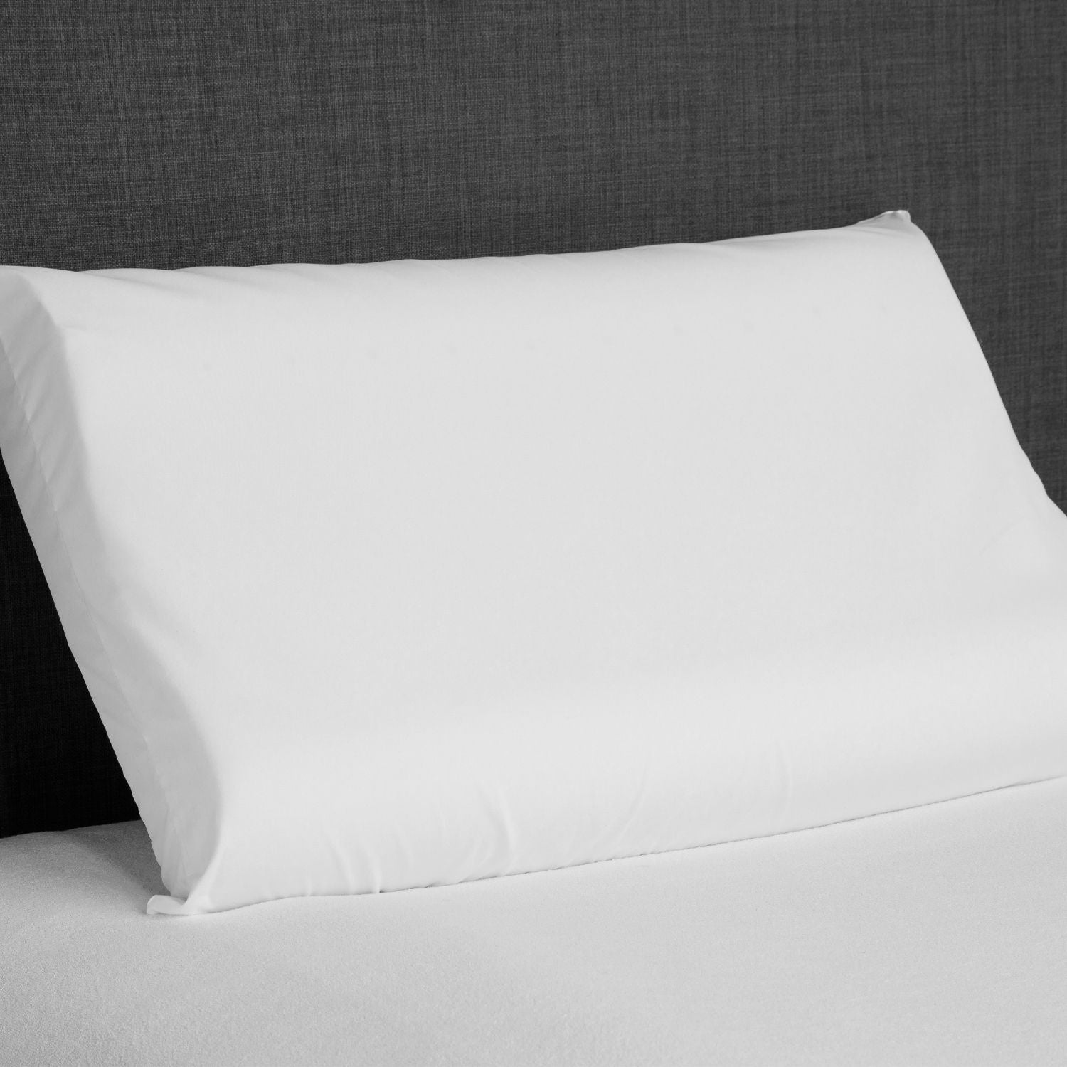 DAUNENSTEP Anatomical Pillow - Anatomical Memo 
