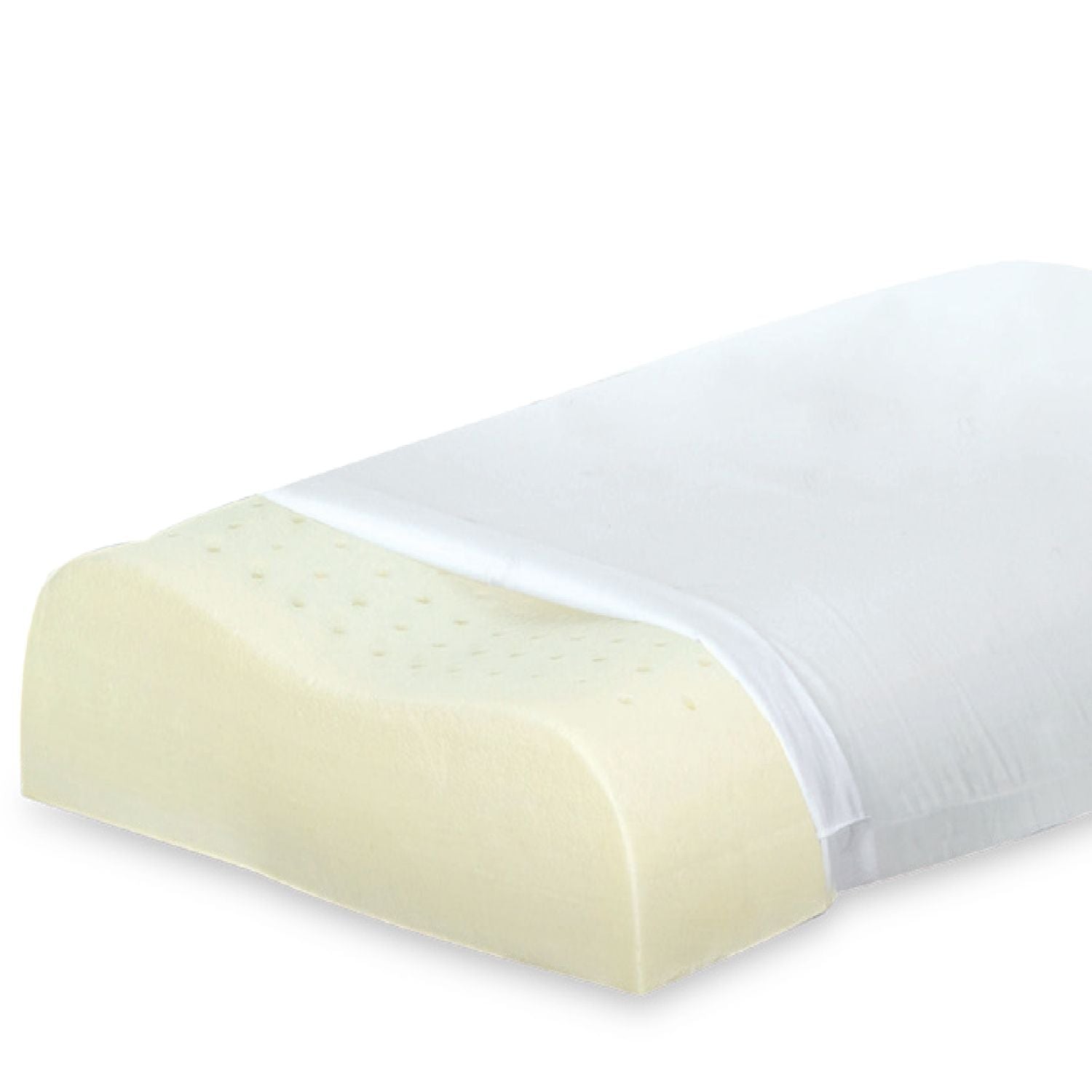 DAUNENSTEP Anatomical Pillow - Anatomical Memo 