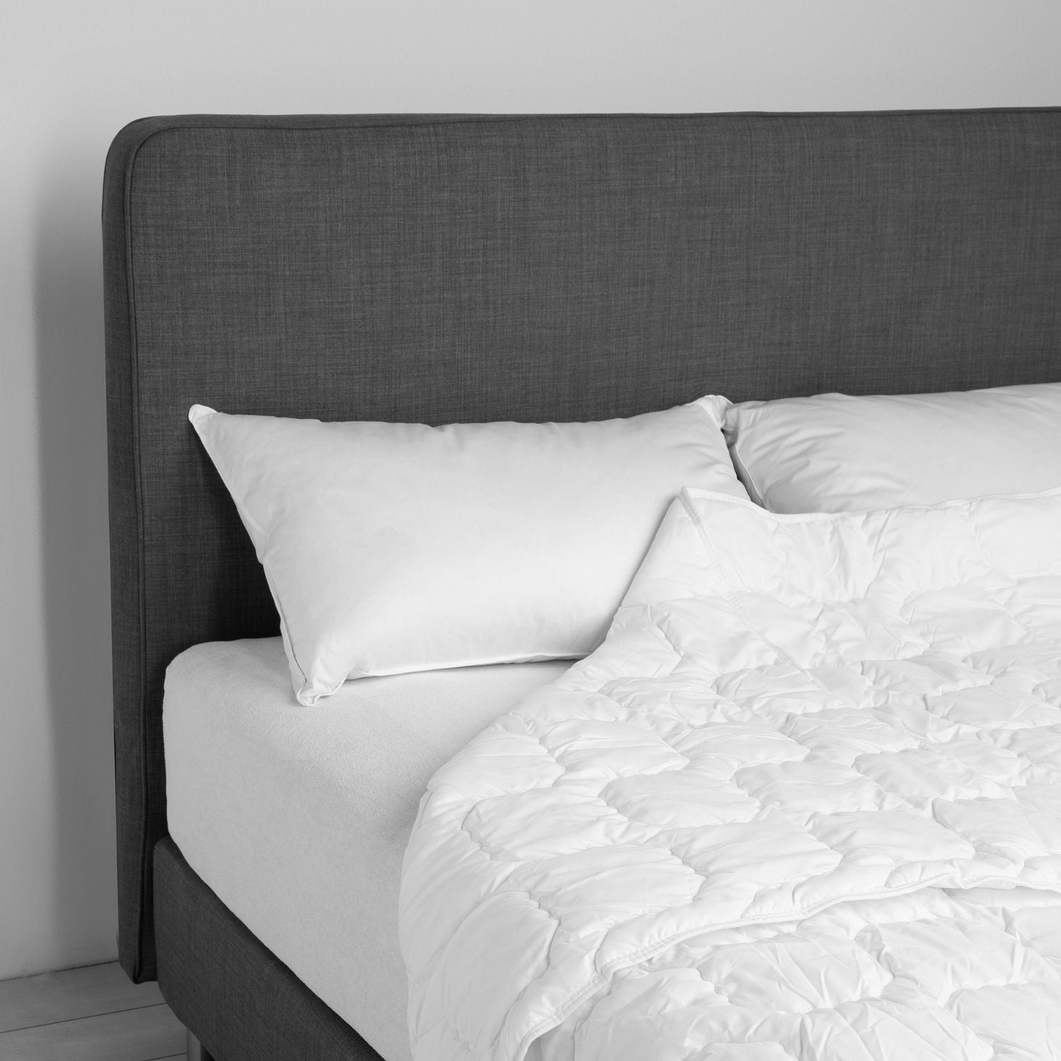 DAUNENSTEP Feather Pillow - President 